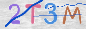 CAPTCHA (Şahıs Denetim Kodu) Resmi