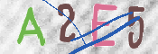 CAPTCHA (Şahıs Denetim Kodu) Resmi