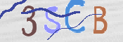 CAPTCHA (Şahıs Denetim Kodu) Resmi