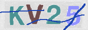 CAPTCHA (Şahıs Denetim Kodu) Resmi