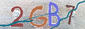 CAPTCHA (Şahıs Denetim Kodu) Resmi