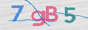 CAPTCHA (Şahıs Denetim Kodu) Resmi