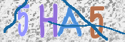 CAPTCHA (Şahıs Denetim Kodu) Resmi