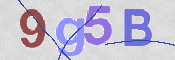 CAPTCHA (Şahıs Denetim Kodu) Resmi