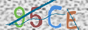 CAPTCHA (Şahıs Denetim Kodu) Resmi