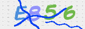 CAPTCHA (Şahıs Denetim Kodu) Resmi