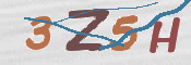 CAPTCHA (Şahıs Denetim Kodu) Resmi