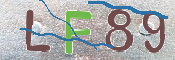 CAPTCHA (Şahıs Denetim Kodu) Resmi
