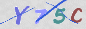 CAPTCHA (Şahıs Denetim Kodu) Resmi