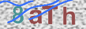 CAPTCHA (Şahıs Denetim Kodu) Resmi