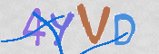 CAPTCHA (Şahıs Denetim Kodu) Resmi