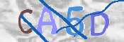 CAPTCHA (Şahıs Denetim Kodu) Resmi