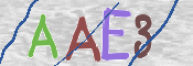 CAPTCHA (Şahıs Denetim Kodu) Resmi