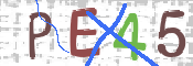 CAPTCHA (Şahıs Denetim Kodu) Resmi