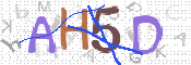 CAPTCHA (Şahıs Denetim Kodu) Resmi