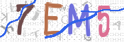 CAPTCHA (Şahıs Denetim Kodu) Resmi