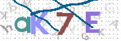 CAPTCHA (Şahıs Denetim Kodu) Resmi
