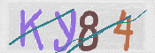 CAPTCHA (Şahıs Denetim Kodu) Resmi