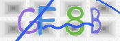 CAPTCHA (Şahıs Denetim Kodu) Resmi