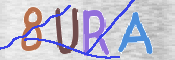 CAPTCHA (Şahıs Denetim Kodu) Resmi