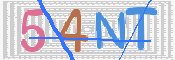 CAPTCHA (Şahıs Denetim Kodu) Resmi