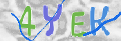 CAPTCHA (Şahıs Denetim Kodu) Resmi