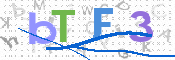 CAPTCHA (Şahıs Denetim Kodu) Resmi