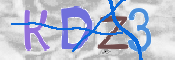 CAPTCHA (Şahıs Denetim Kodu) Resmi