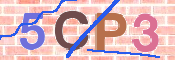 CAPTCHA (Şahıs Denetim Kodu) Resmi