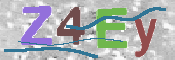 CAPTCHA (Şahıs Denetim Kodu) Resmi