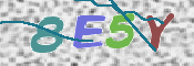 CAPTCHA (Şahıs Denetim Kodu) Resmi