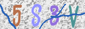 CAPTCHA (Şahıs Denetim Kodu) Resmi