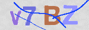 CAPTCHA (Şahıs Denetim Kodu) Resmi