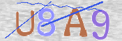 CAPTCHA (Şahıs Denetim Kodu) Resmi
