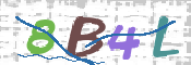 CAPTCHA (Şahıs Denetim Kodu) Resmi
