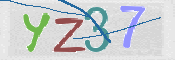 CAPTCHA (Şahıs Denetim Kodu) Resmi