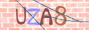 CAPTCHA (Şahıs Denetim Kodu) Resmi
