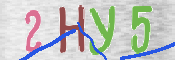 CAPTCHA (Şahıs Denetim Kodu) Resmi