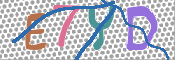 CAPTCHA (Şahıs Denetim Kodu) Resmi
