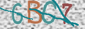 CAPTCHA (Şahıs Denetim Kodu) Resmi
