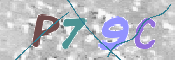 CAPTCHA (Şahıs Denetim Kodu) Resmi