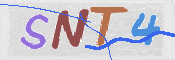 CAPTCHA (Şahıs Denetim Kodu) Resmi