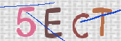 CAPTCHA (Şahıs Denetim Kodu) Resmi