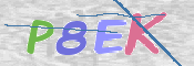 CAPTCHA (Şahıs Denetim Kodu) Resmi