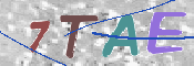 CAPTCHA (Şahıs Denetim Kodu) Resmi