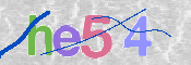 CAPTCHA (Şahıs Denetim Kodu) Resmi