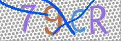 CAPTCHA (Şahıs Denetim Kodu) Resmi