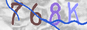 CAPTCHA (Şahıs Denetim Kodu) Resmi