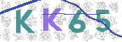 CAPTCHA (Şahıs Denetim Kodu) Resmi