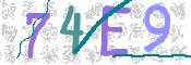 CAPTCHA (Şahıs Denetim Kodu) Resmi